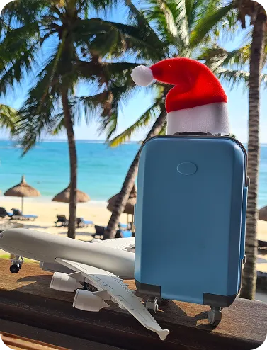 Travel suitcase weather